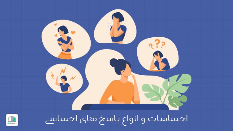 احساسات و انواع پاسخ های احساسی